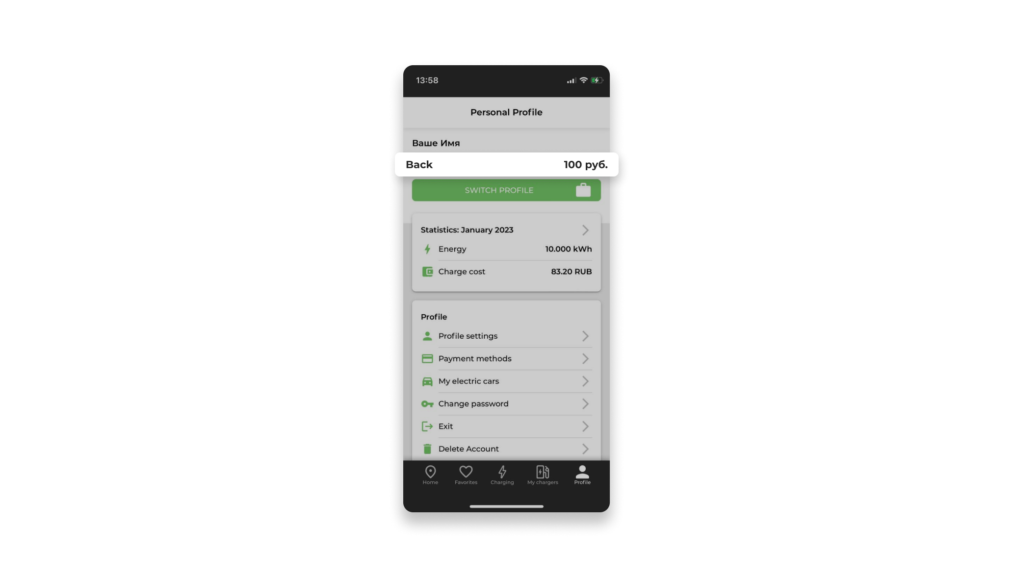 Application window
